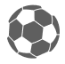 金獅體育icon